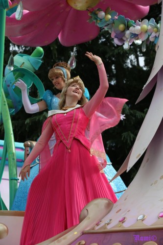 Princess Aurora & Cinderella